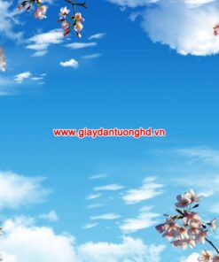 Tranh dán trần mây trời-FM_30405